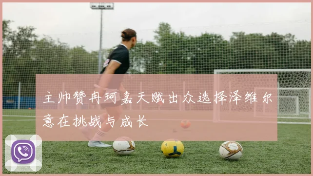 主帅赞冉珂嘉天赋出众选择泽维尔意在挑战与成长