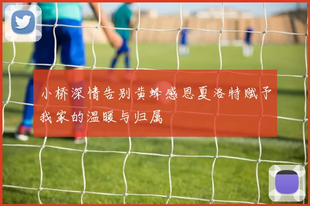 小桥深情告别黄蜂感恩夏洛特赋予我家的温暖与归属